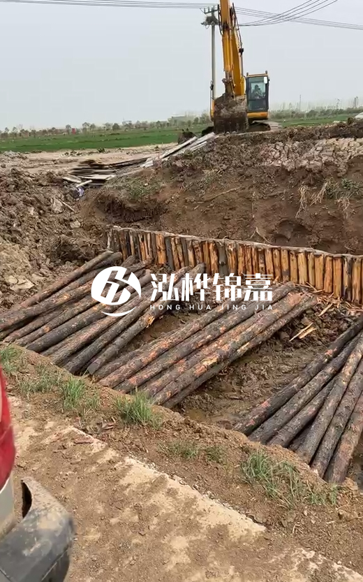 4米直徑12-13油松批發(fā)價最低多少？報價含稅含運嗎？